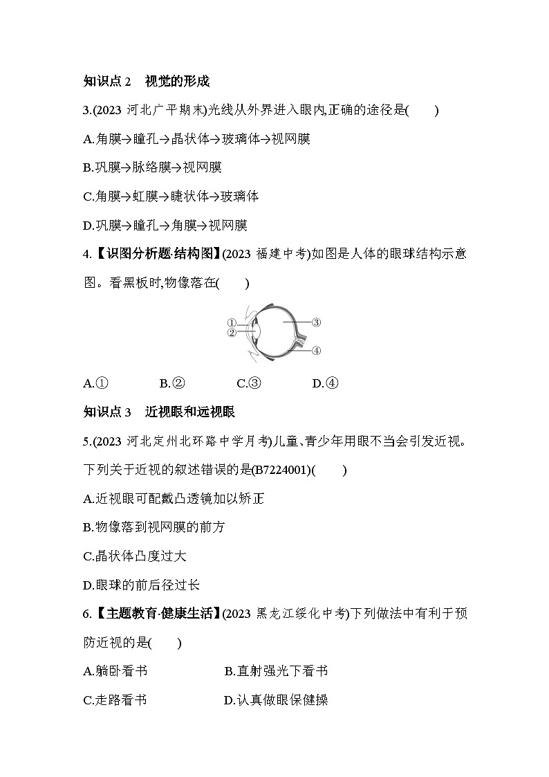 4.11  视觉--冀少版初中生物七年级下册同步练习第2页