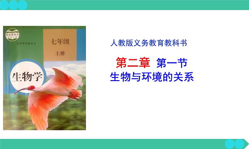 1.2.1++生物与环境的关系++课件-2023-2024学年人教版生物七年级上册02