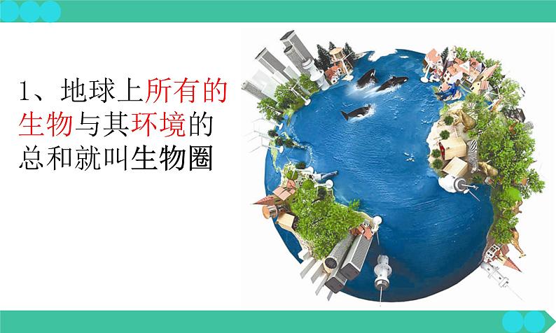 1.2.1++生物与环境的关系++课件-2023-2024学年人教版生物七年级上册06
