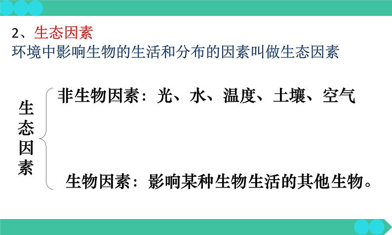 1.2.1++生物与环境的关系++课件-2023-2024学年人教版生物七年级上册07