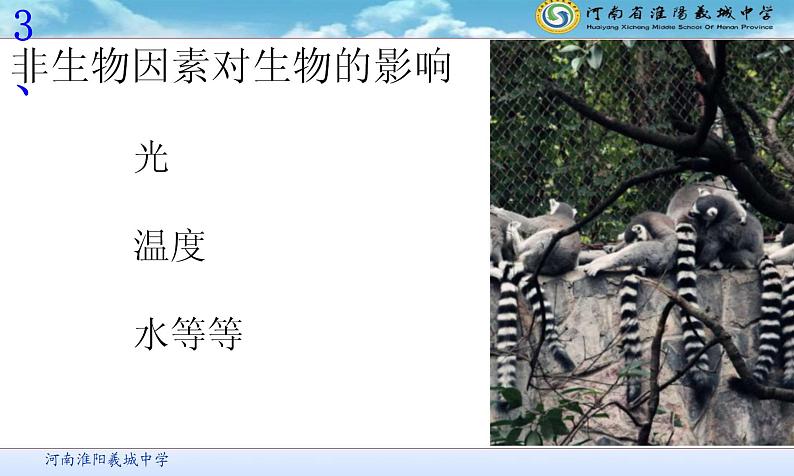 1.2.1++生物与环境的关系++课件-2023-2024学年人教版生物七年级上册08