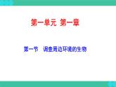 1.1.2++调查周边环境中的生物+课件-2023-2024学年人教版生物学七年级上册