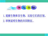 1.1.1++生物的特征++课件-2023-2024学年人教版生物七年级上册