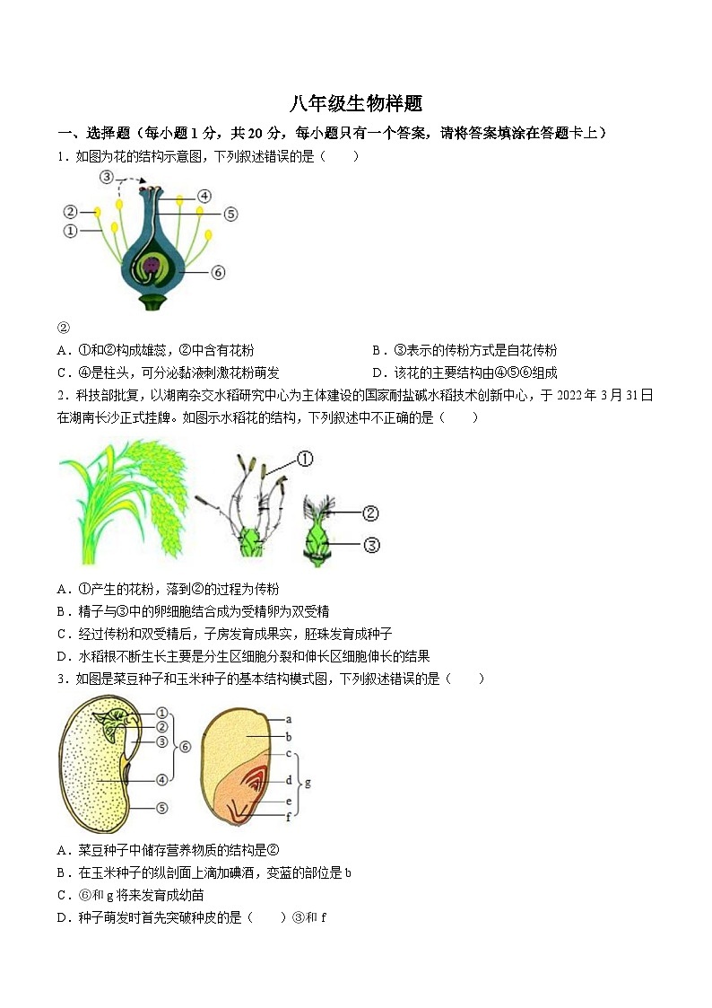 山东省菏泽市定陶区2023-2024学年八年级上学期期末生物试题01