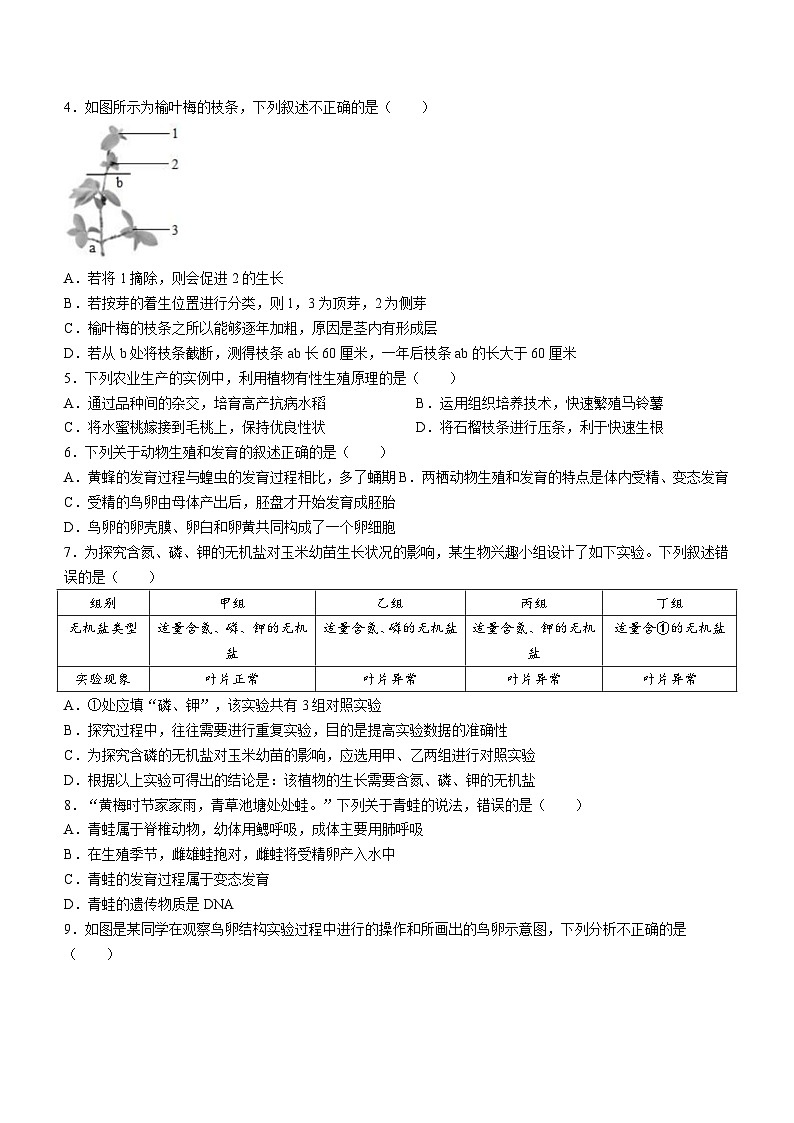 山东省菏泽市定陶区2023-2024学年八年级上学期期末生物试题02
