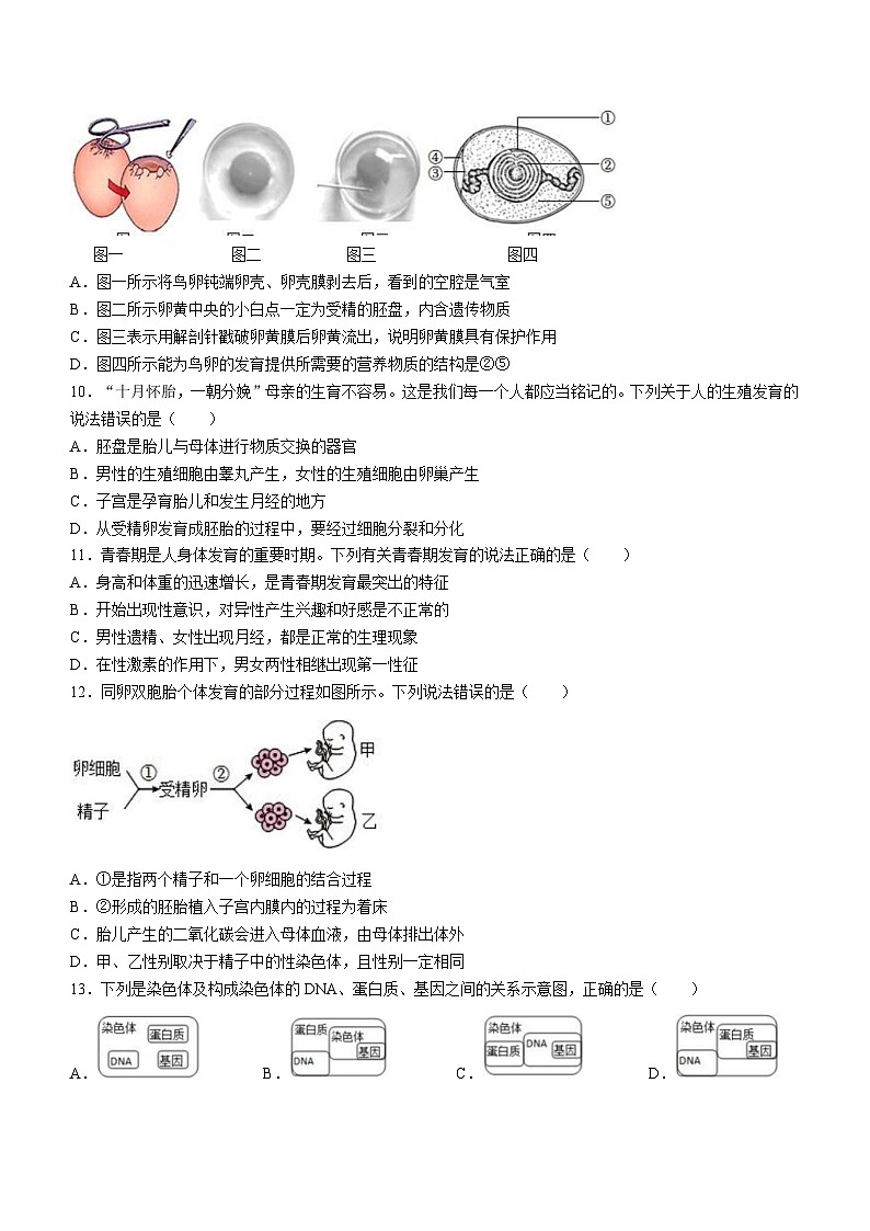 山东省菏泽市定陶区2023-2024学年八年级上学期期末生物试题03