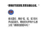 7.1.3++两栖动物的生殖和发育++课件-2023-2024学年人教版生物八年级下册