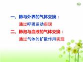4.3.2++发生在肺内的气体交换++课件-2023--2024学年人教版生物七年级下册