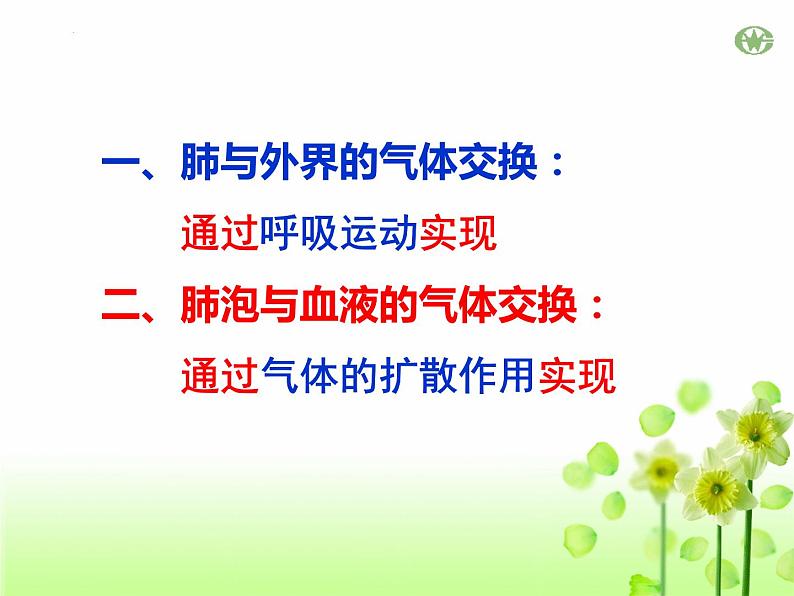 4.3.2++发生在肺内的气体交换++课件-2023--2024学年人教版生物七年级下册第2页