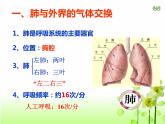 4.3.2++发生在肺内的气体交换++课件-2023--2024学年人教版生物七年级下册