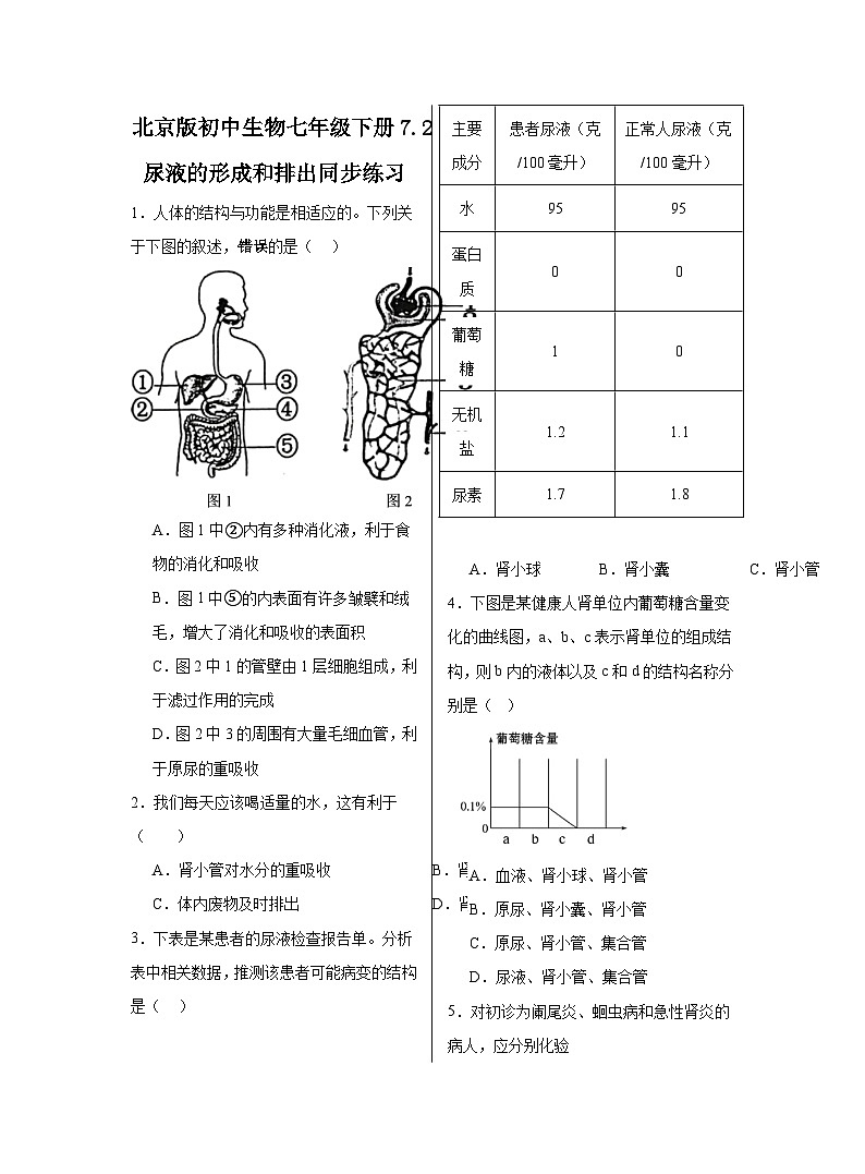 7.2+尿液的形成和排出++同步练习（含答案）-京改版生物七年级下册第1页