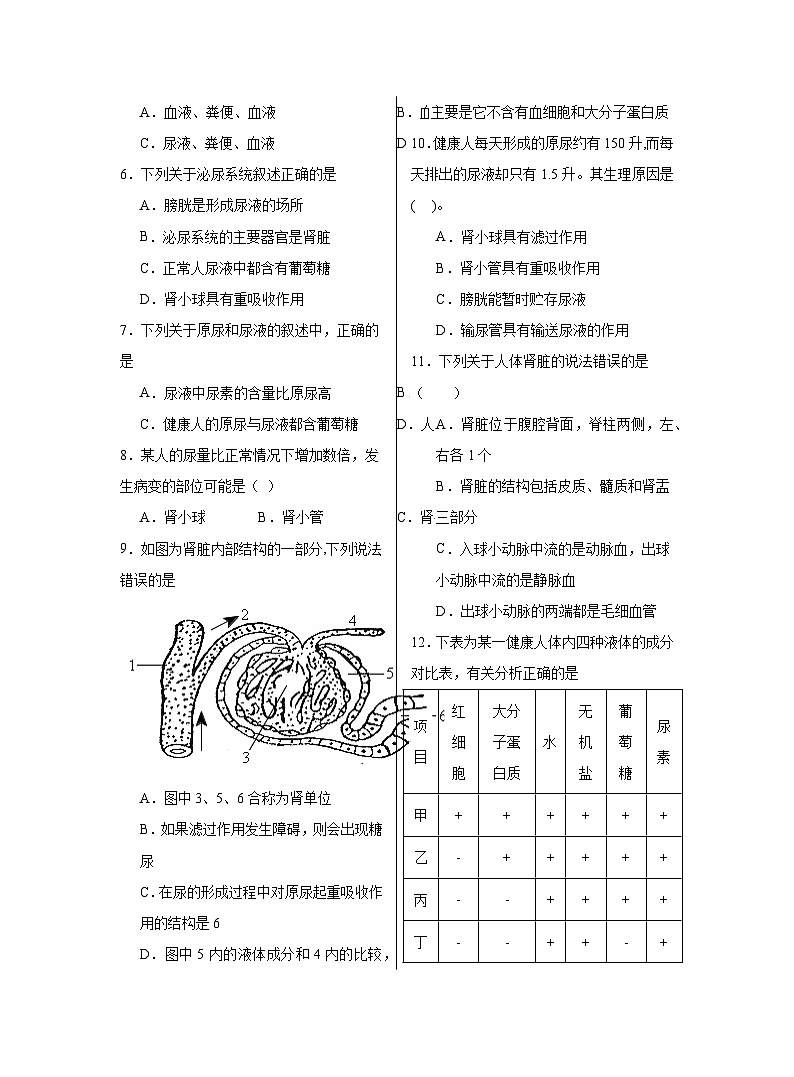 7.2+尿液的形成和排出++同步练习（含答案）-京改版生物七年级下册第2页
