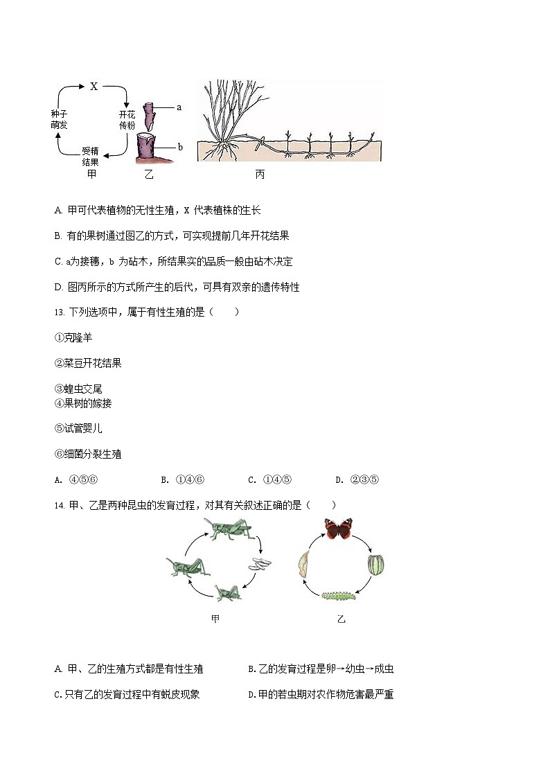 2022-2023学年湖南省娄底市涟源市八年级上学期期末生物试题及答案第3页