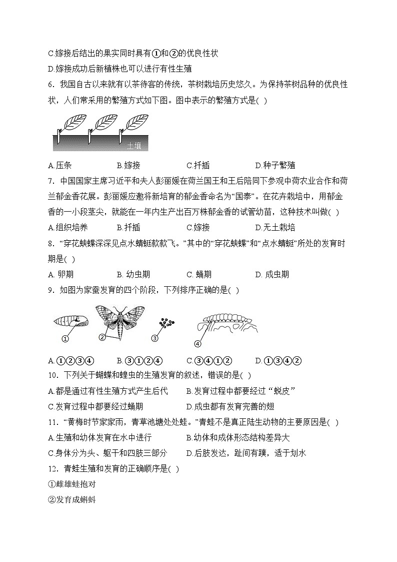 （1）生物的生殖和发育——2023-2024学年八年级下册生物人教版单元测评卷（A卷）(含答案)第2页