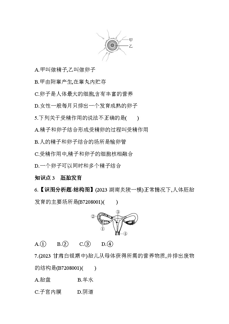8.1　精卵结合孕育新的生命--苏教版初中生物七年级下册同步练习第3页