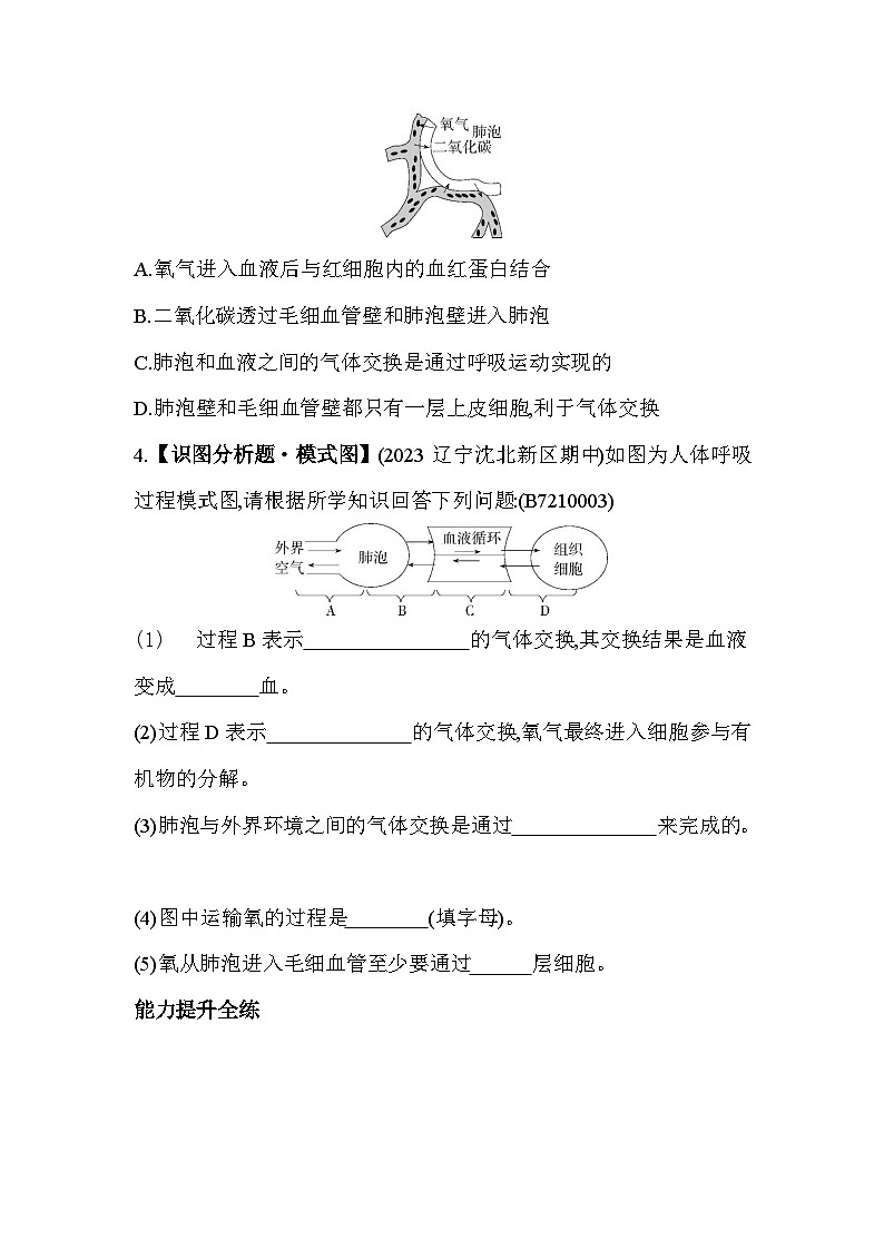 10.4　人体内的气体交换--苏教版初中生物七年级下册同步练习第2页