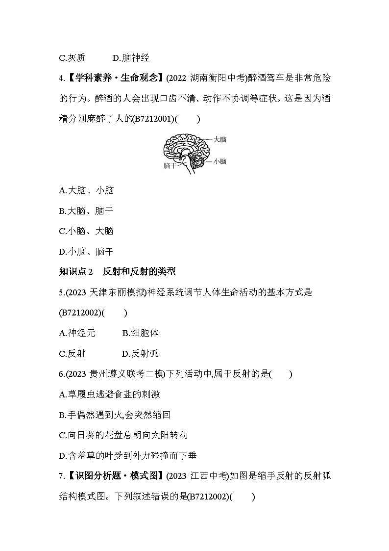 12.2　人体的神经调节--苏教版初中生物七年级下册同步练习第2页