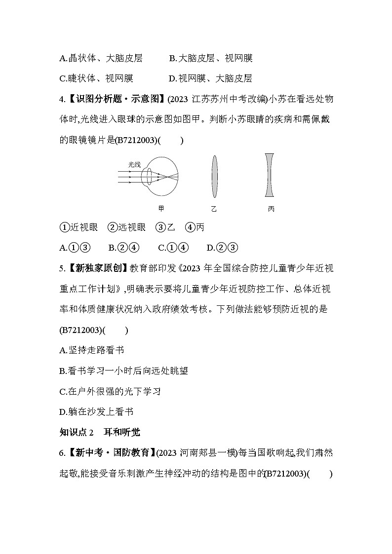 12.3　人体感知信息--苏教版初中生物七年级下册同步练习第2页