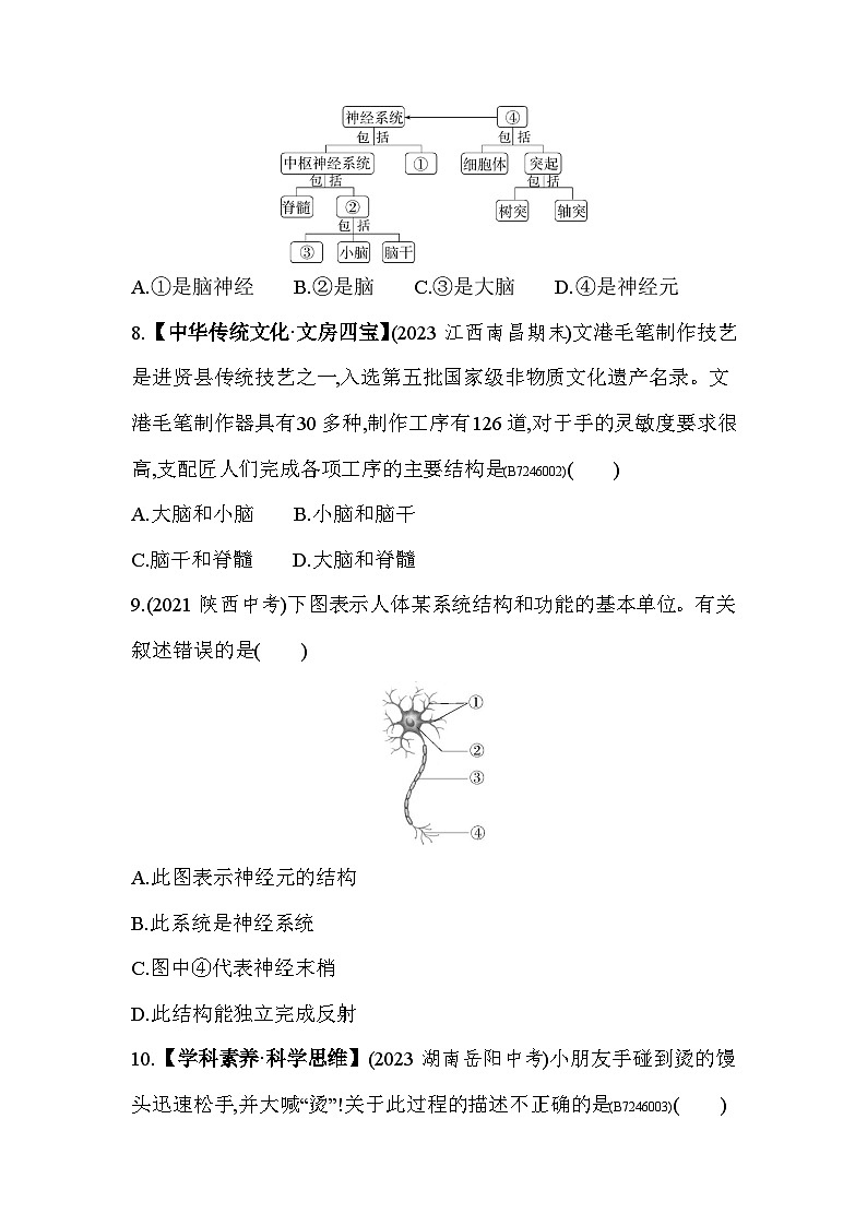 第五、六章   素养综合检测--人教版初中生物七年级下册同步练习第3页