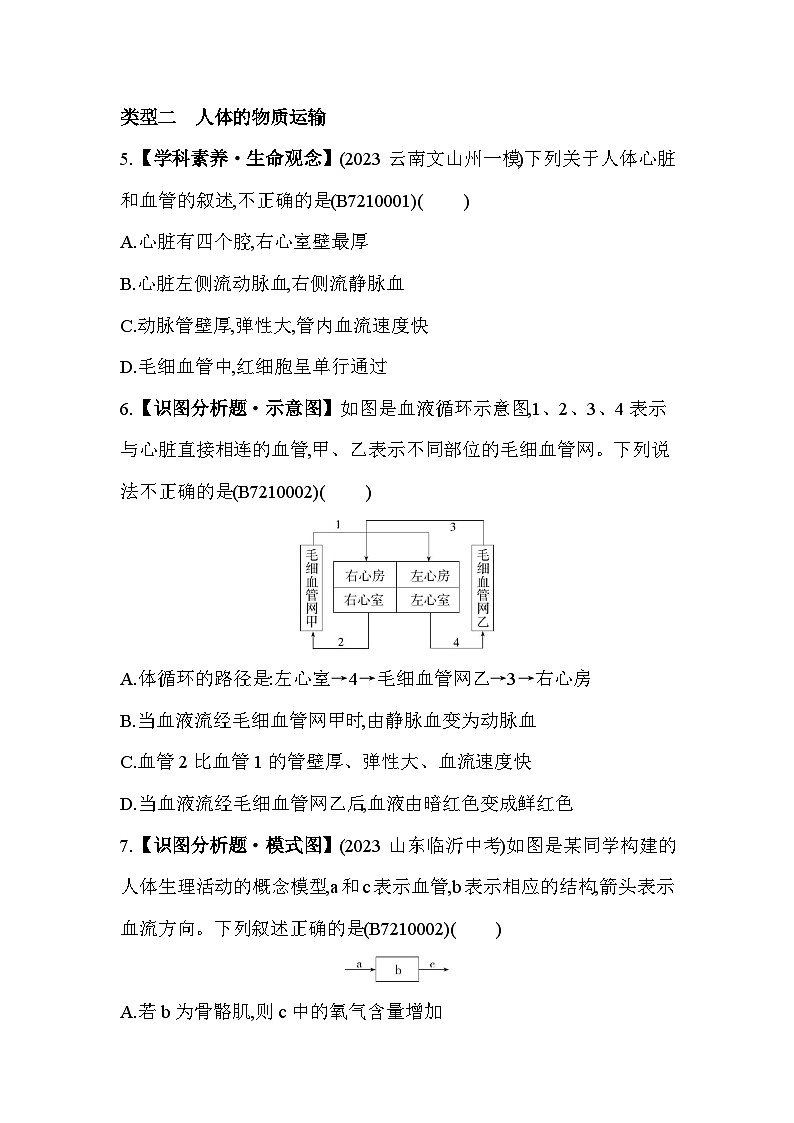 01-专项素养综合全练(一)人体的消化、吸收、物质运输、能量供给和废物排出--苏教版初中生物七年级下册同步练习第3页