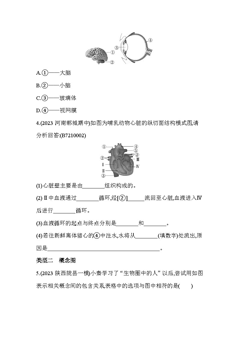 03-专项素养综合全练(三)识图分析--苏教版初中生物七年级下册同步练习02