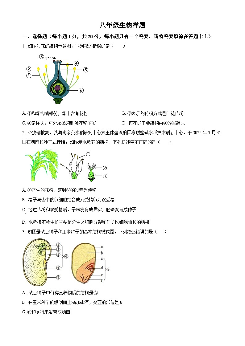 山东省菏泽市定陶区2023-2024学年八年级上学期期末生物试题（原卷版+解析版）01