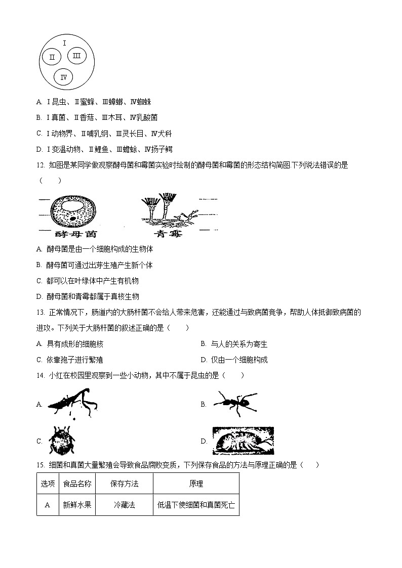 精品解析：吉林省白城市通榆县育才学校等校联考2023-2024学年八年级上学期期末生物试题（原卷版）第3页