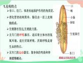 人教版生物八年级上册 第五单元第一章第二节  线形动物和环节动物课件