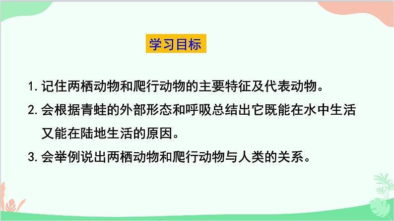 人教版生物八年级上册 第五单元第一章第五节  两栖动物和爬行动物课件03