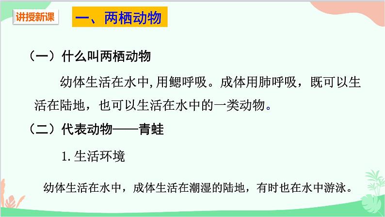 人教版生物八年级上册 第五单元第一章第五节  两栖动物和爬行动物课件04