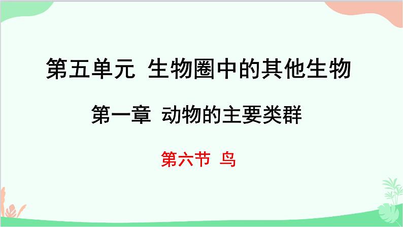 人教版生物八年级上册 第五单元第一章第六节  鸟课件01