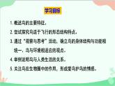 人教版生物八年级上册 第五单元第一章第六节  鸟课件