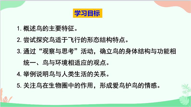 人教版生物八年级上册 第五单元第一章第六节  鸟课件03