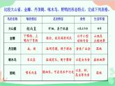 人教版生物八年级上册 第五单元第一章第六节  鸟课件
