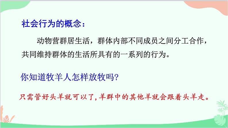 人教版生物八年级上册 第五单元第二章第三节  社会行为课件第5页