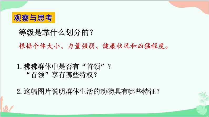 人教版生物八年级上册 第五单元第二章第三节  社会行为课件第7页