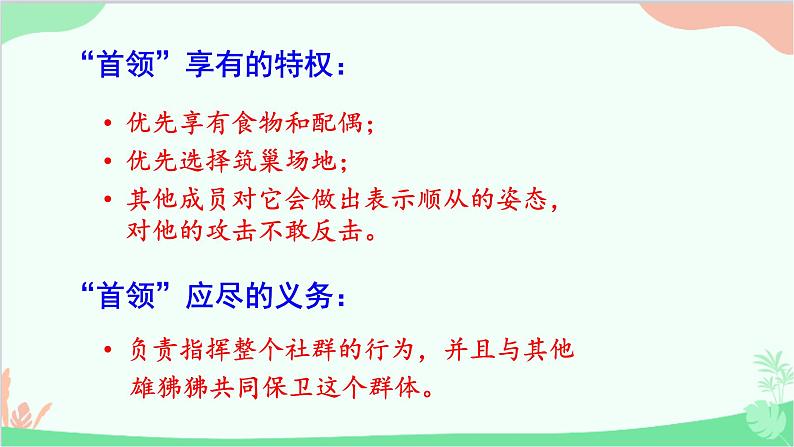 人教版生物八年级上册 第五单元第二章第三节  社会行为课件第8页