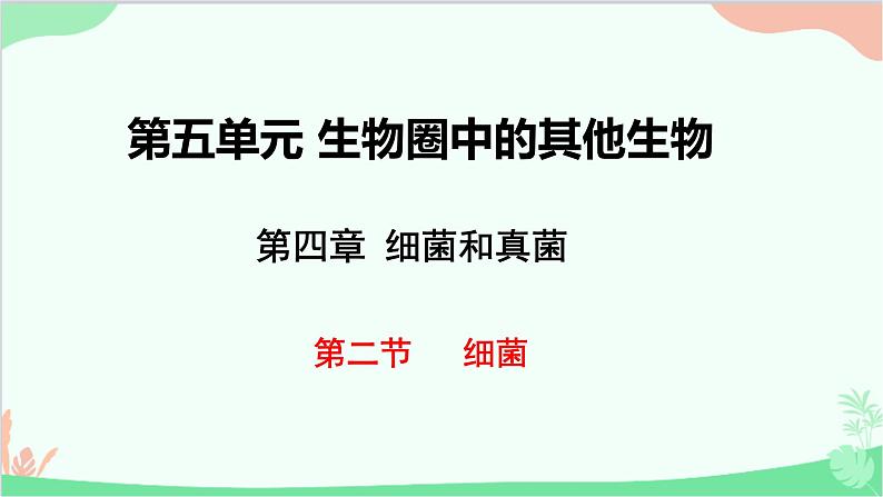 人教版生物八年级上册 第五单元第四章第二节  细菌课件01