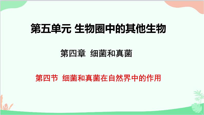 人教版生物八年级上册 第五单元第四章第四节  细菌和真菌在自然界中的作用课件第1页