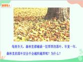 人教版生物八年级上册 第五单元第四章第四节  细菌和真菌在自然界中的作用课件