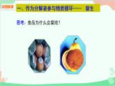 人教版生物八年级上册 第五单元第四章第四节  细菌和真菌在自然界中的作用课件