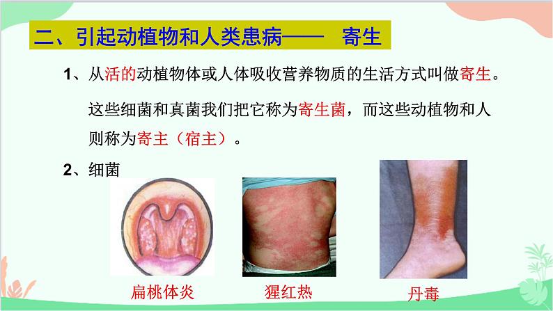 人教版生物八年级上册 第五单元第四章第四节  细菌和真菌在自然界中的作用课件第5页