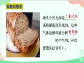 人教版生物八年级上册 第五单元第四章第五节  人类对细菌和真菌的利用课件