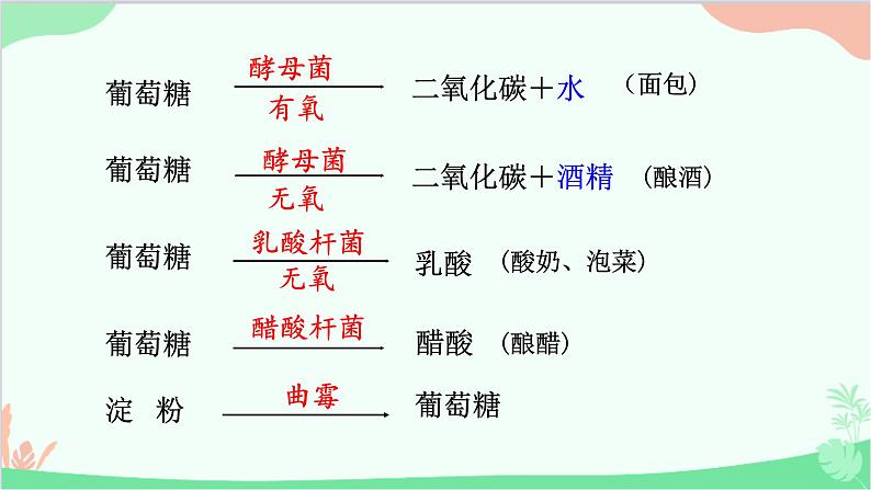 人教版生物八年级上册 第五单元第四章第五节  人类对细菌和真菌的利用课件06