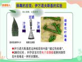 人教版生物八年级上册 第五单元第五章  病毒课件