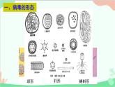 人教版生物八年级上册 第五单元第五章  病毒课件