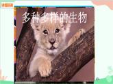 人教版生物八年级上册 第六单元第一章第一节  尝试对生物进行分类课件