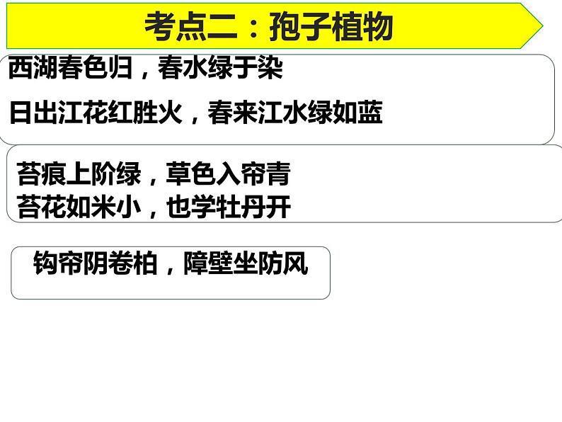 2024年中考一轮复习：生物圈中的绿色植物课件03