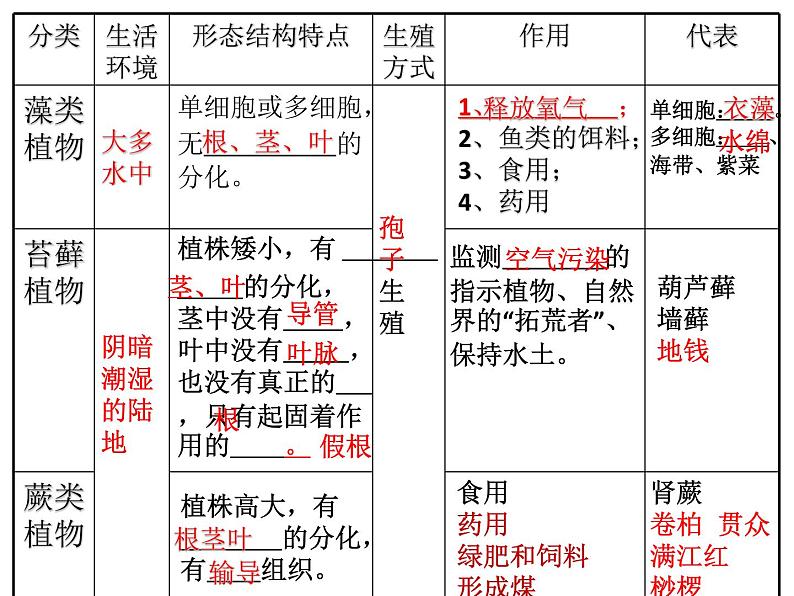 2024年中考一轮复习：生物圈中的绿色植物课件04