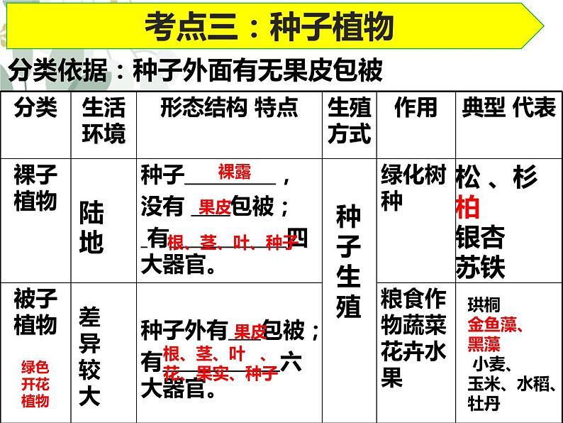 2024年中考一轮复习：生物圈中的绿色植物课件05